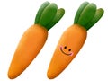 Fresh carrots. Watercolor hand drawn illustration. Royalty Free Stock Photo